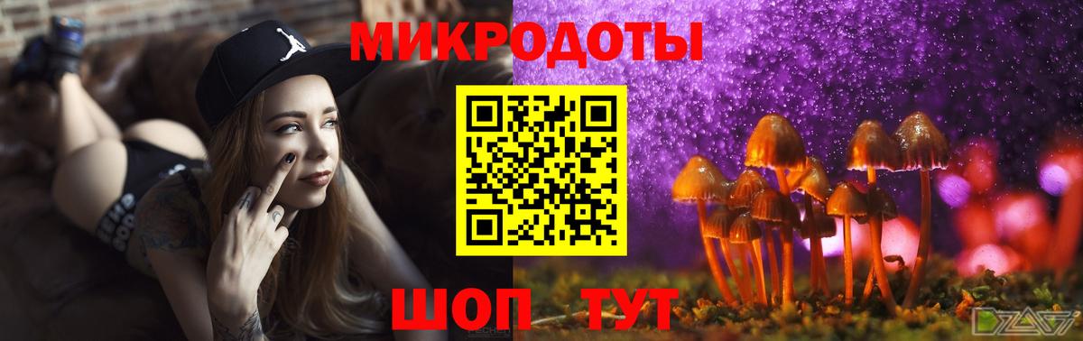 Псилоцибиновые грибы GOLDEN TEACHER  Вход с VPN  Галлюциногенные грибы MAGIC MUSHROOMS  Аксай 